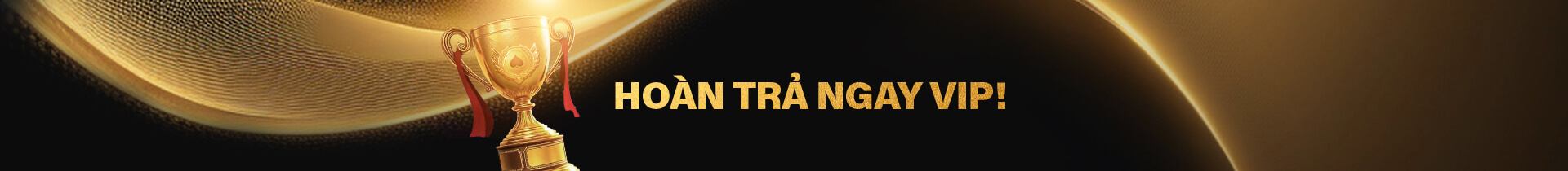 Hoàn trả VIP VZ99